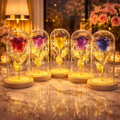 Enchanted Rose in Glass Dome