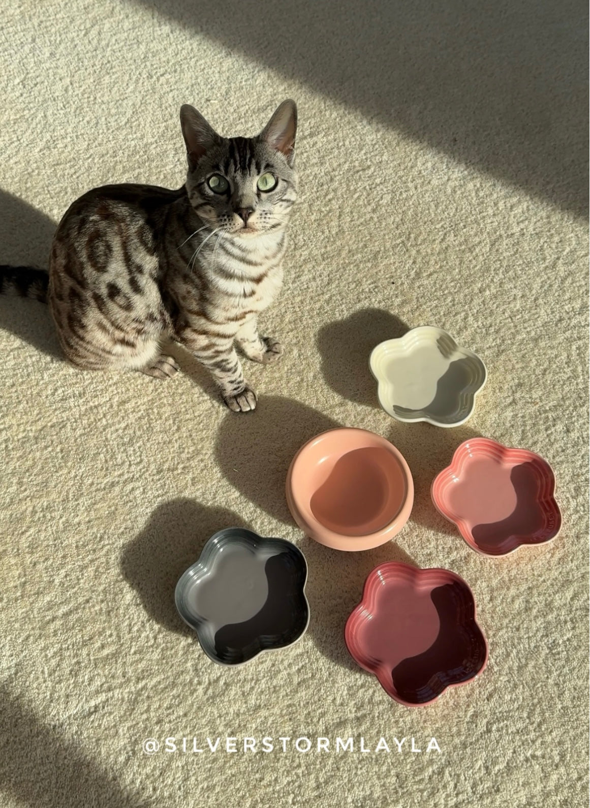 CafeCore™ Aesthetic Dessert Plate