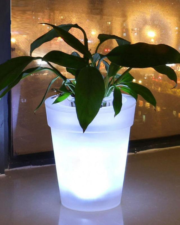 LED Illuminated Planter